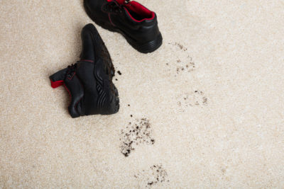 The Most Common Carpet Stain Offenders